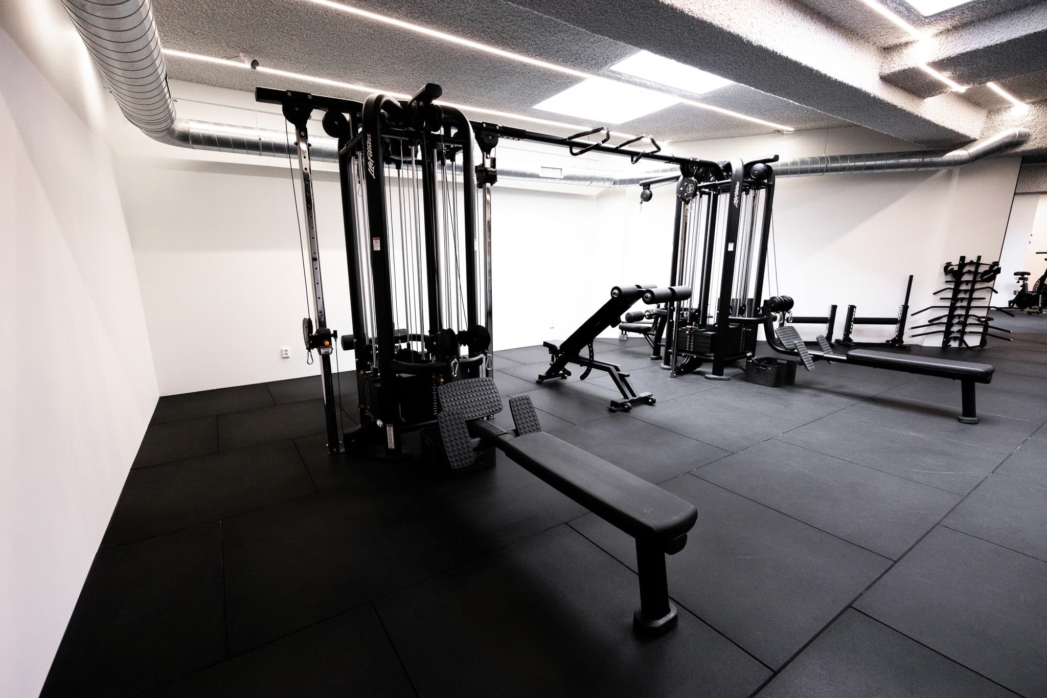 Iconic Studio training floor, Amsterdam — Hammer Strength cable machines, open 312m² private facility